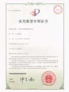 專(zhuān)利5