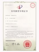 專(zhuān)利6